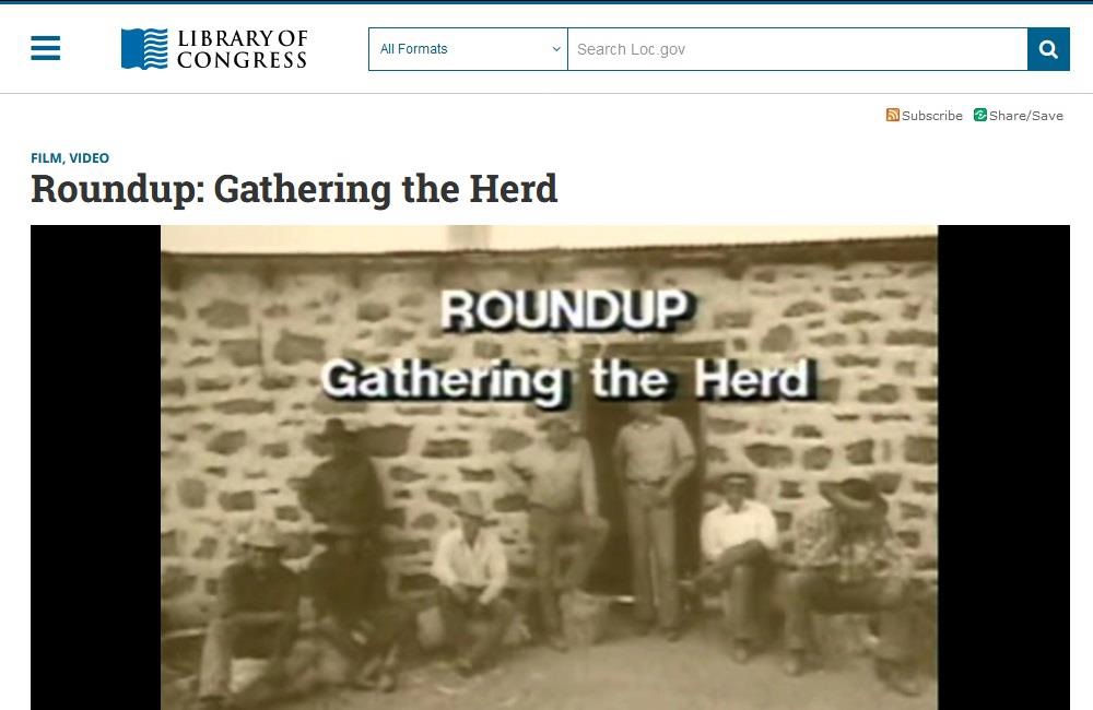 Roundup: Gathering the Herd